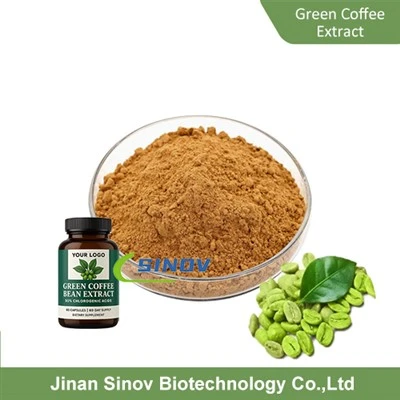Bubuk ekstrak kopi hijau
